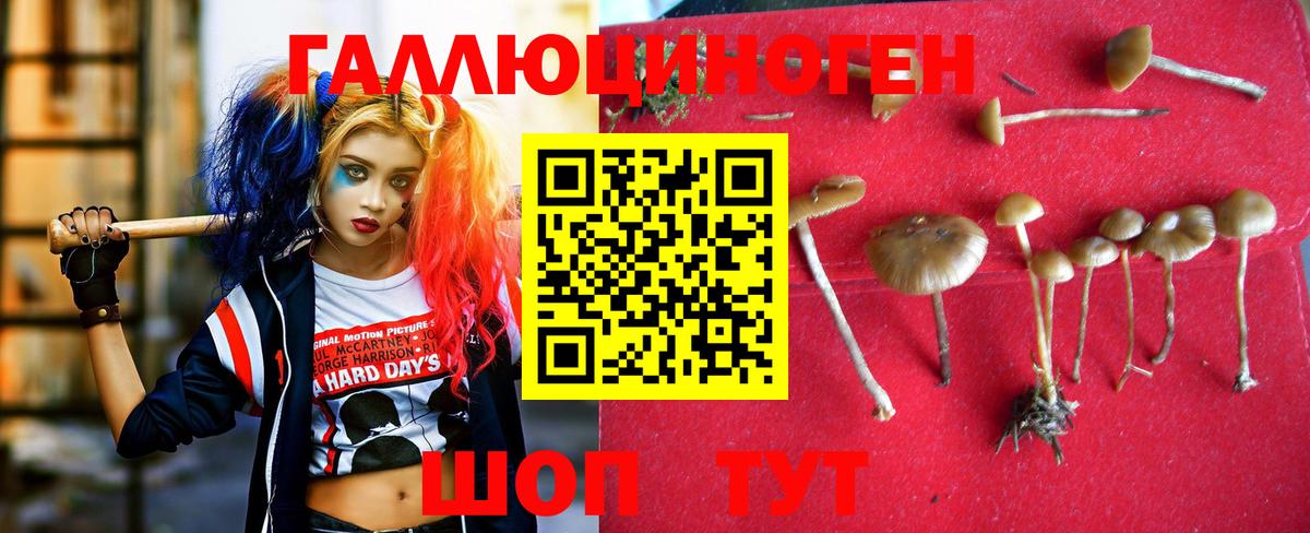 Галлюциногенные грибы GOLDEN TEACHER  Вход с VPN  Красногорск 